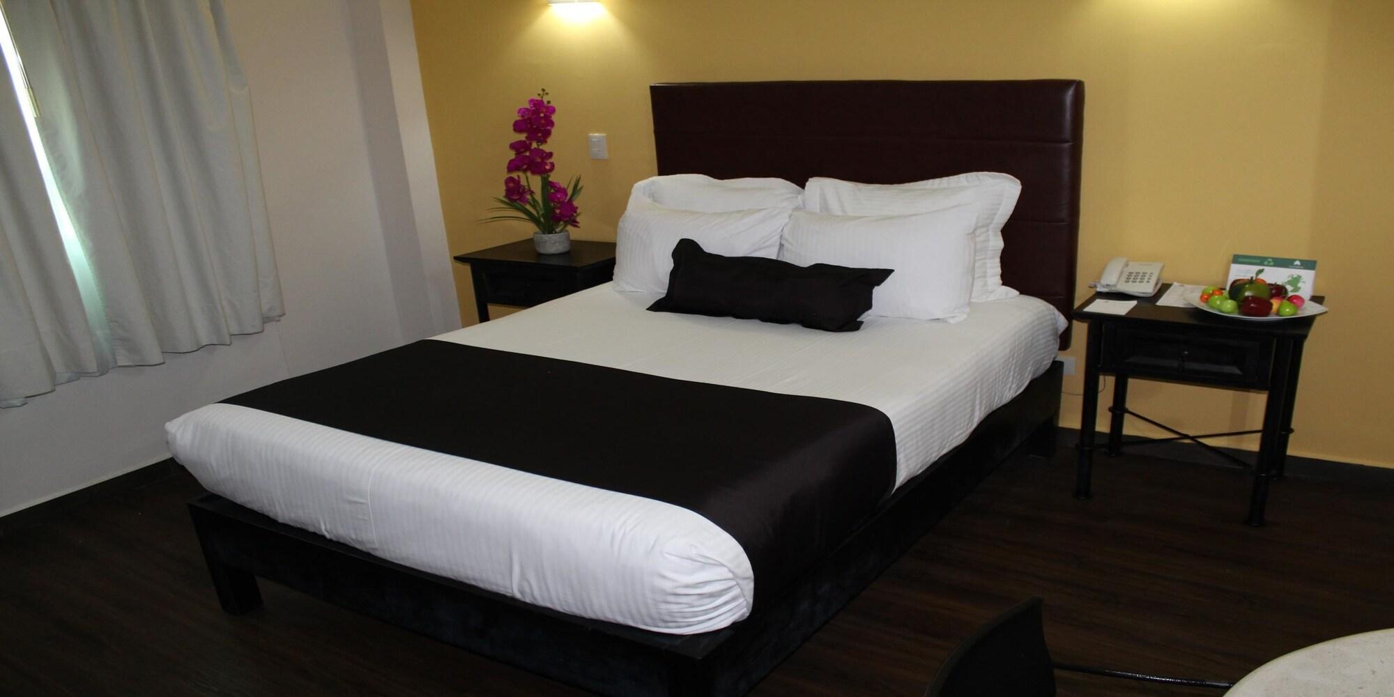Hotel Plaza Poblana à Puebla Extérieur photo